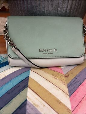 Kate Spade New York Colorblock Crossbody Wallet/Wallet on Chain